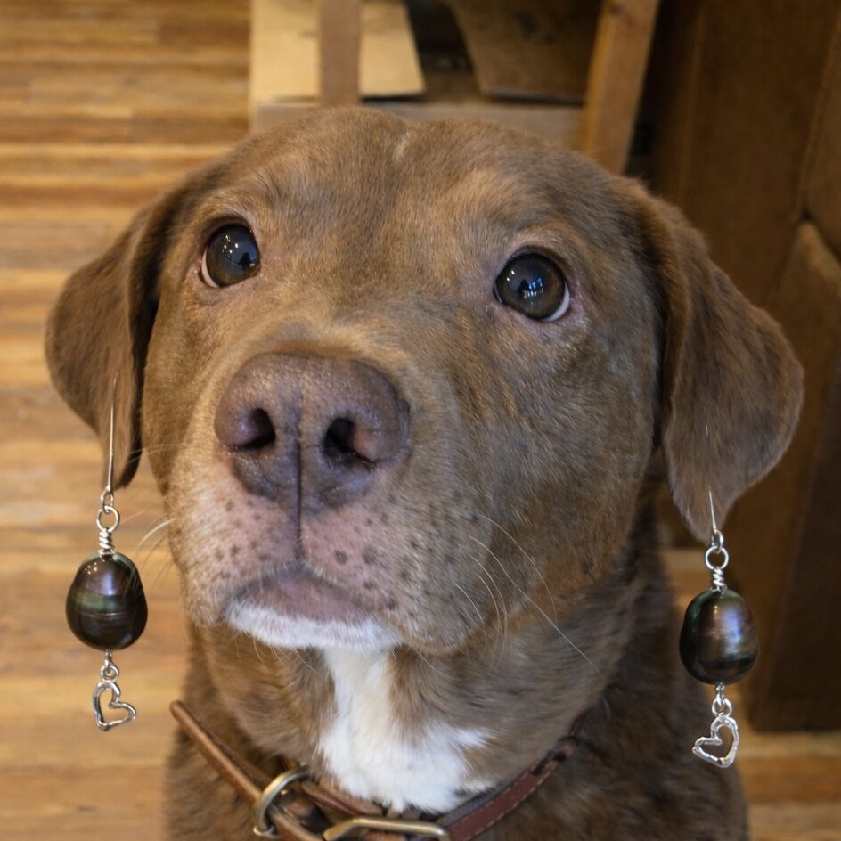 F7A169A5-79FD-48B3-8E1C-88E2655845EF